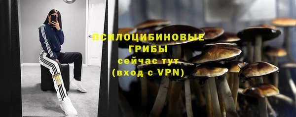 ALPHA PVP Баксан