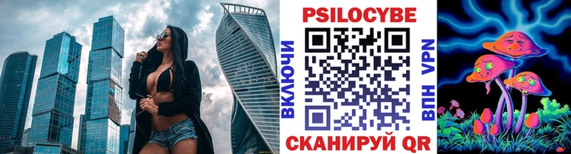 Галлюциногенные грибы Psilocybe Сокол